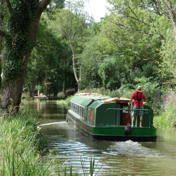 Canal Boat Trips Back on the Wey Arun Canal